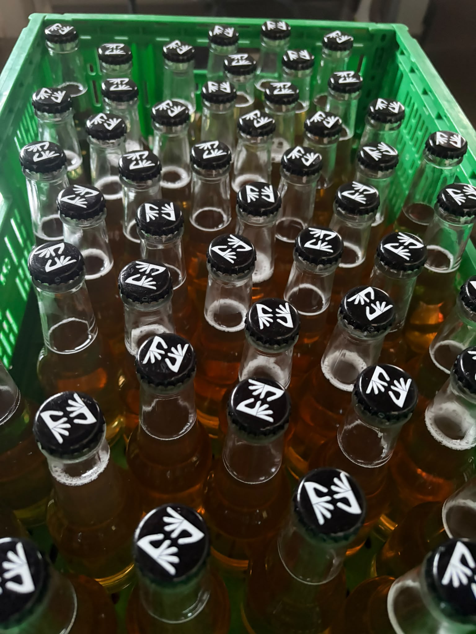 Bottiglie di vetro scuro sigillate per preservare il kombucha artigianale